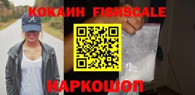 гидра Новозыбков