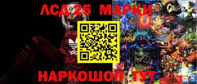 гидра Новозыбков