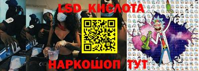 гидра Новозыбков
